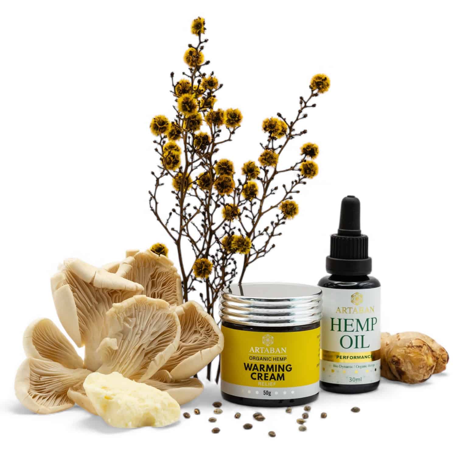 Artaban Best On Ground Hemp Set